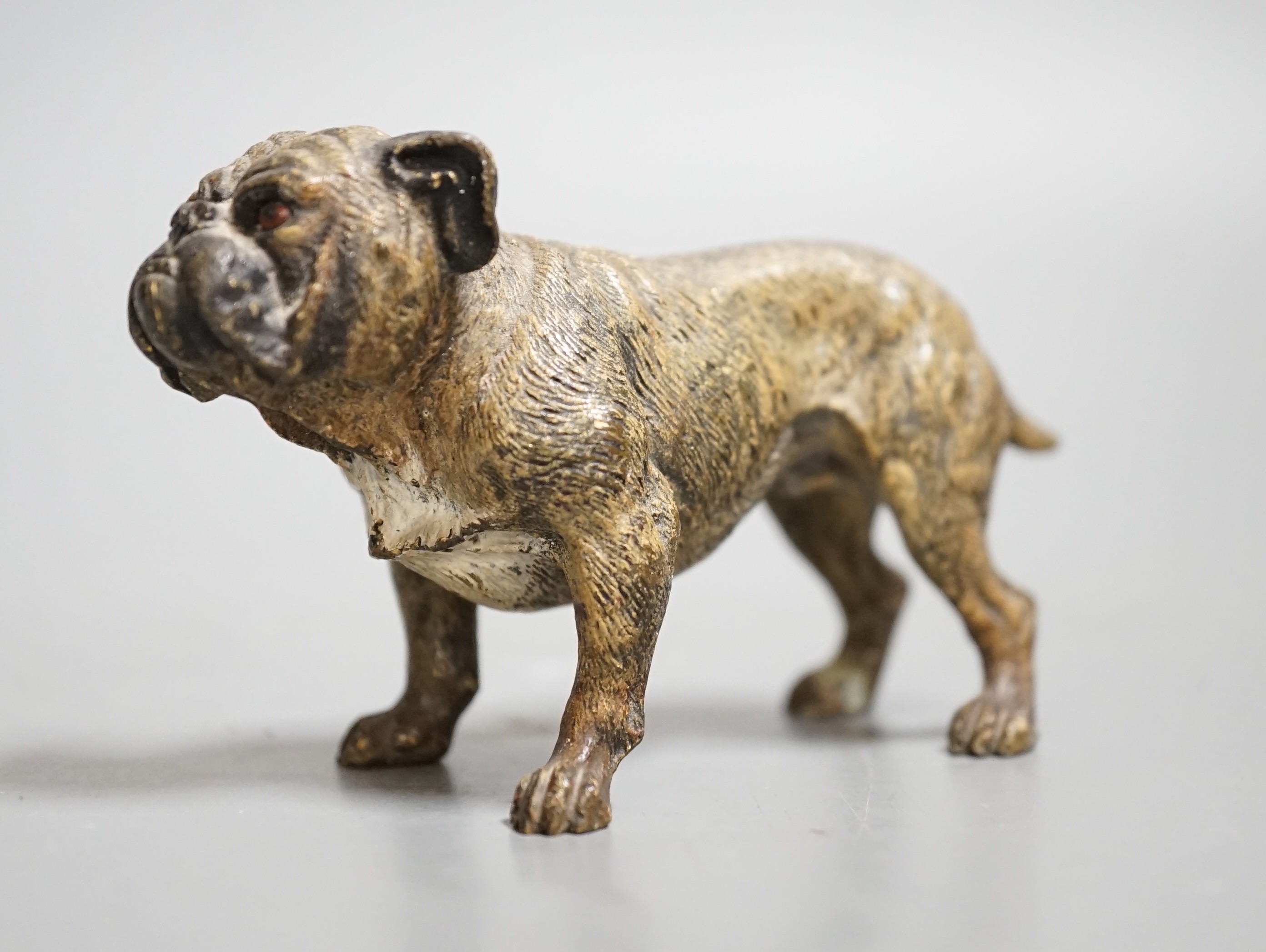 Two Austrian cold painted models of bulldogs, stamped Geschutzt. 10cm long